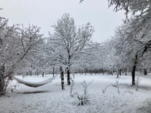 IMG_9210